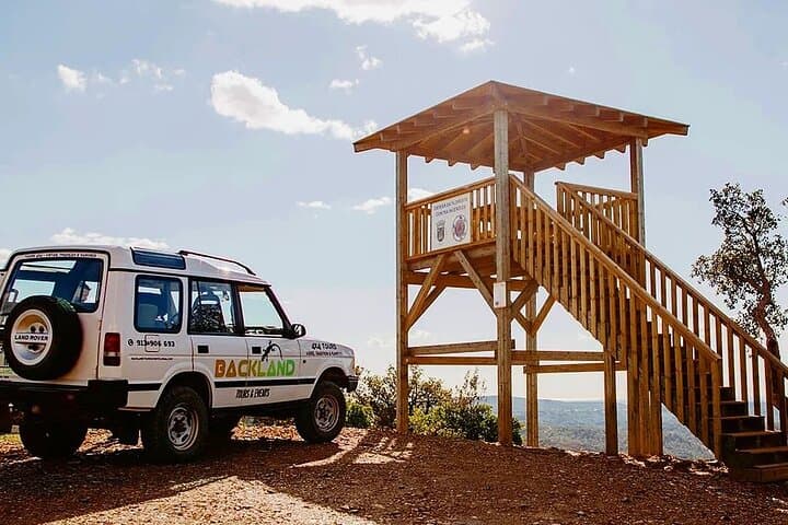 Adventure between friends - Private safari, from 1 to 6 PAX