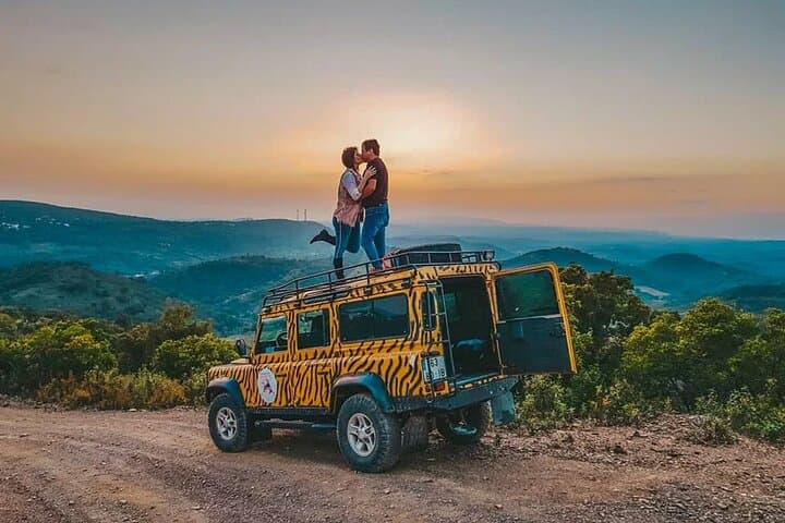 Sunset Safari