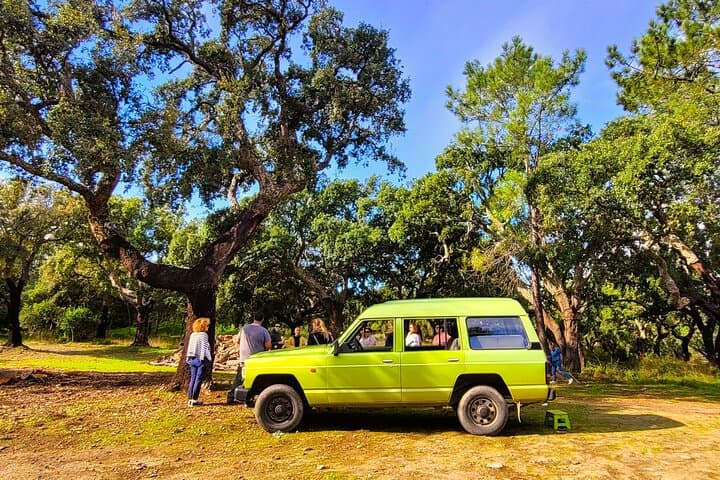 Jeep Safari with Winery Visit and Wine Tasting