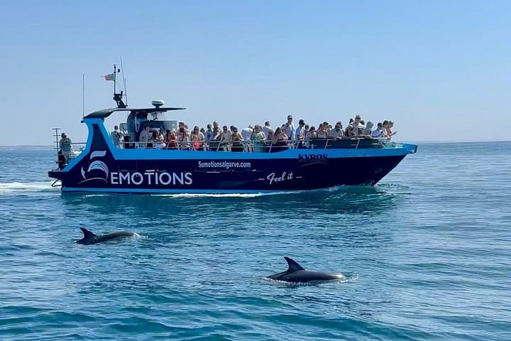 Portimão : 2.5 hours — Dolphins Watching — Biologist on Board