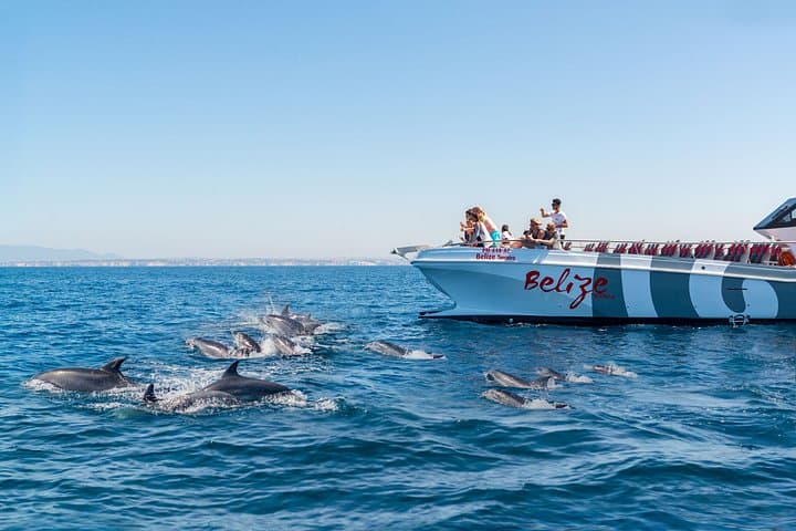 Portimao: Dolphins & Benagil Caves - Catamaran