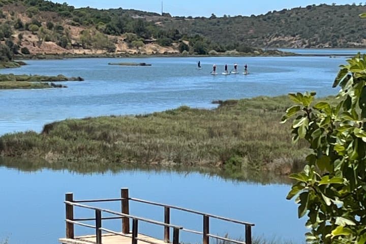 Picnic and Paddle Tour on the Arade River