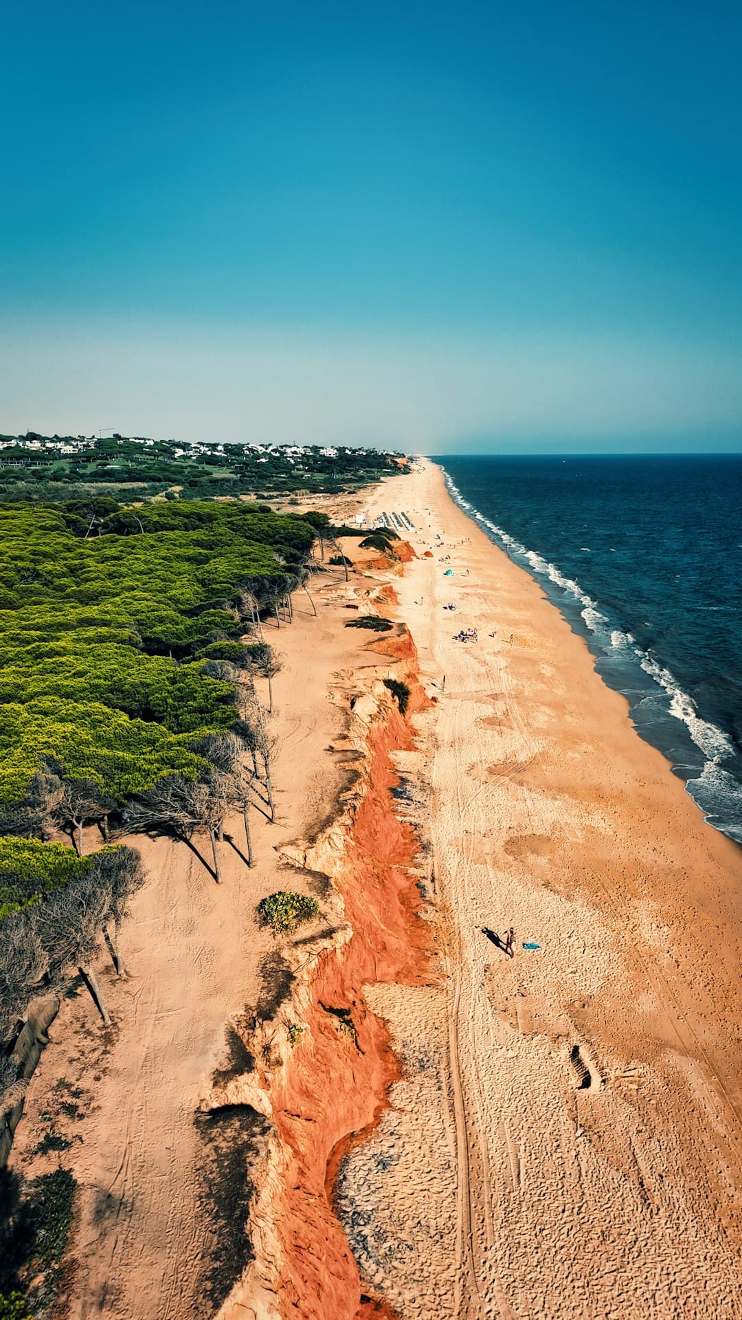 A long, sandy beach with lush vegetation.
