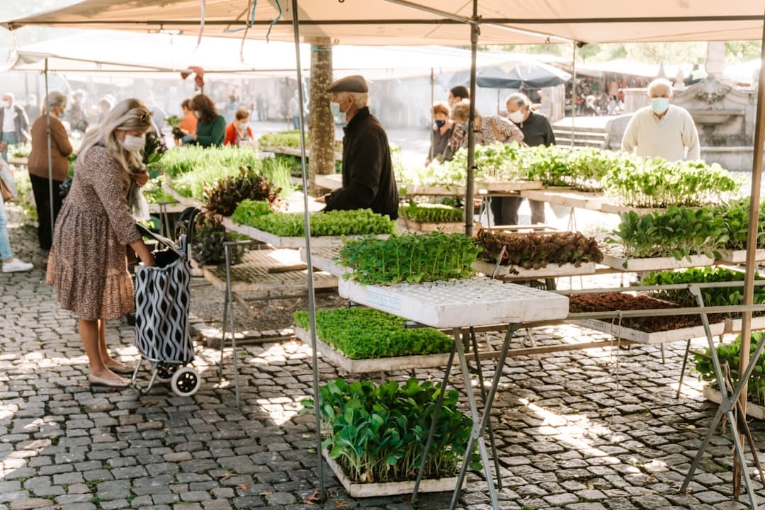 Fresh organic produce and plants for sale at the outdoor Alvor Farmers' Market in Faro, Algarve.
